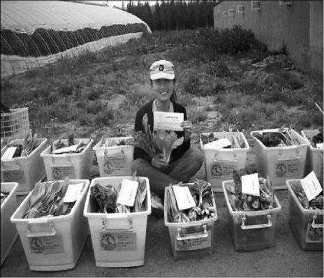 Shi Yan, graduate student and organizer of the Little Donkey CSA near Beijing. Photo courtesy of Little Donkey.