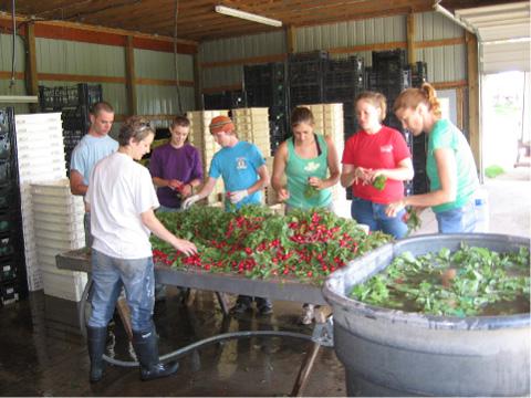 Some of the 50 member-workers at Vermont Valley Farm in Wisconsin, USA.  Photo courtesy of Vermont Valley Farm