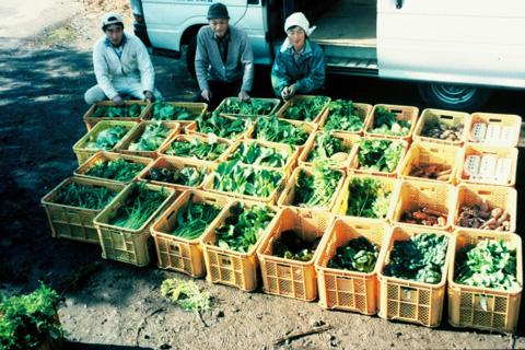 farmer Michiko Uozumi and her helpers display their ready share boxes