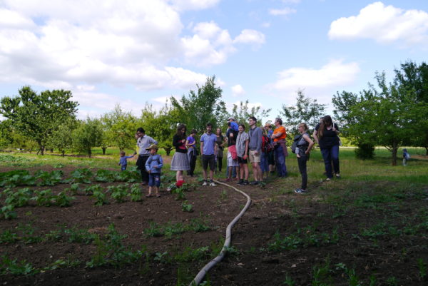 Community Supported Agriculture As A Model For A New Common Food And ...