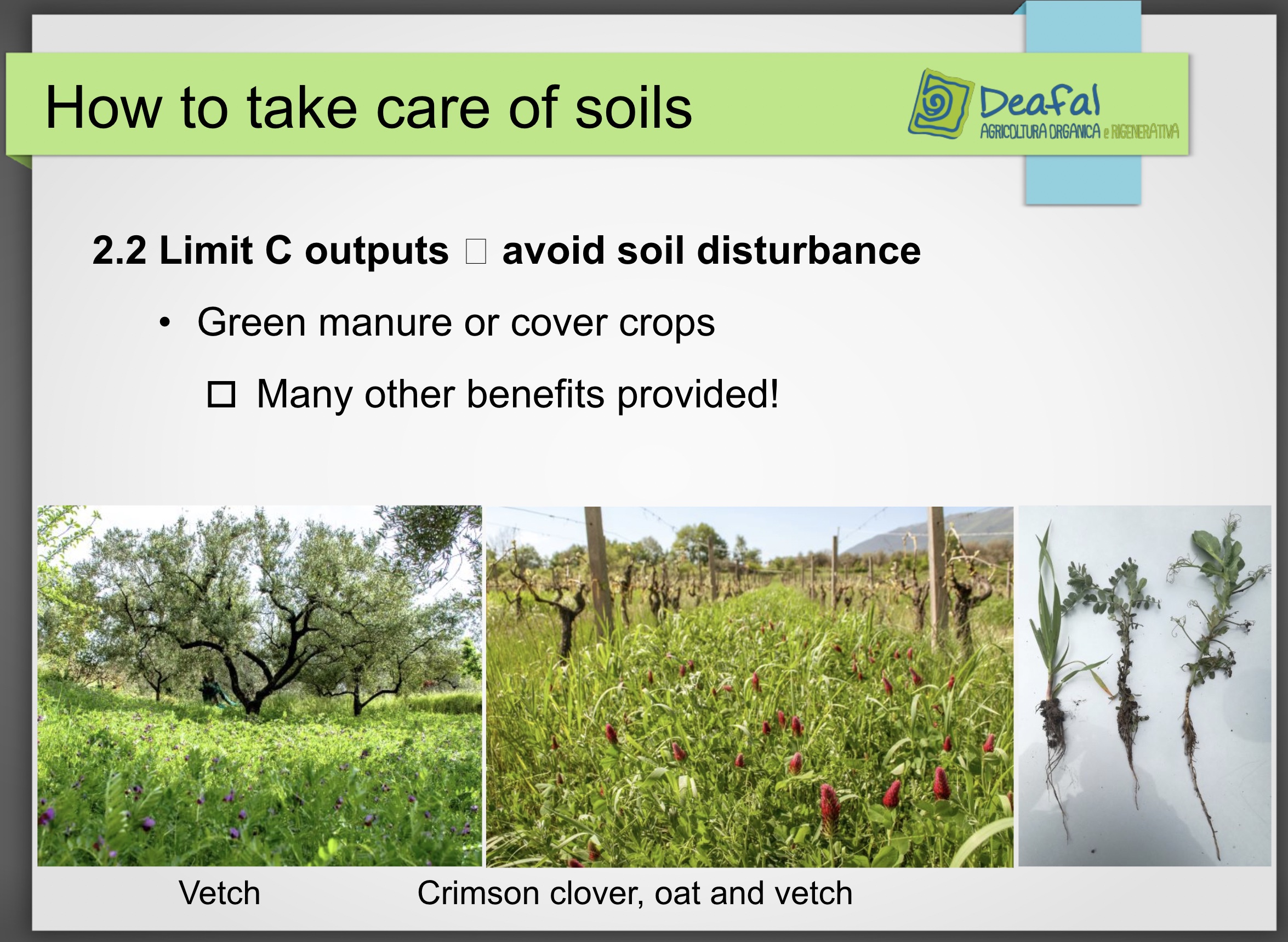 Agroecology in the Mediterranean Region: Soil Fertility and Water  Management - Urgenci